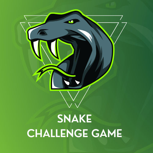 Snake Challenge Game